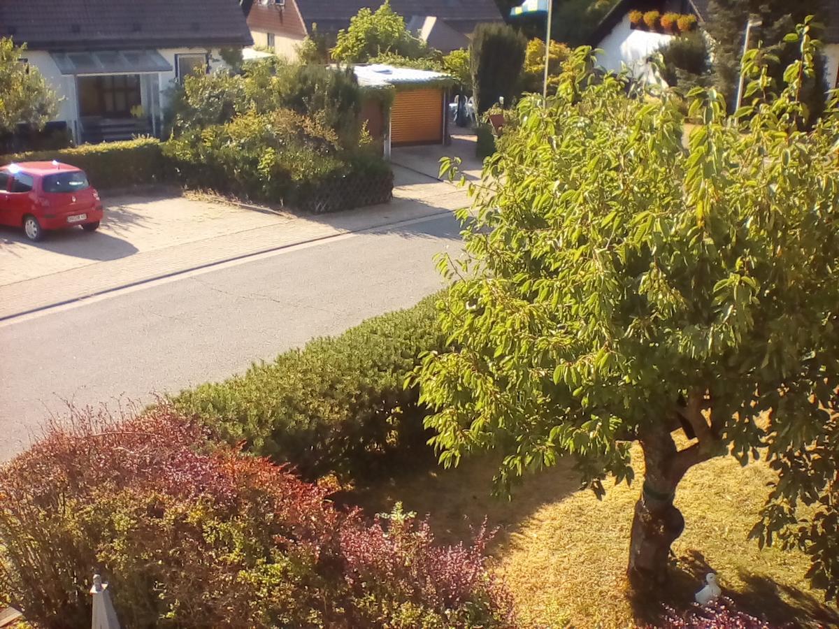 Ferienwohnung Am Geiersberg Walkenried Exterior foto